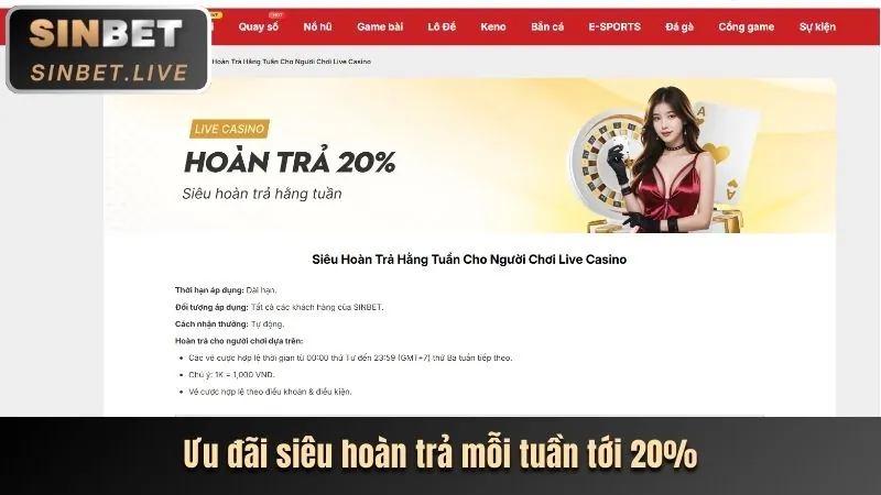 Vị trí nút Đăng Nhập trên trang Febet